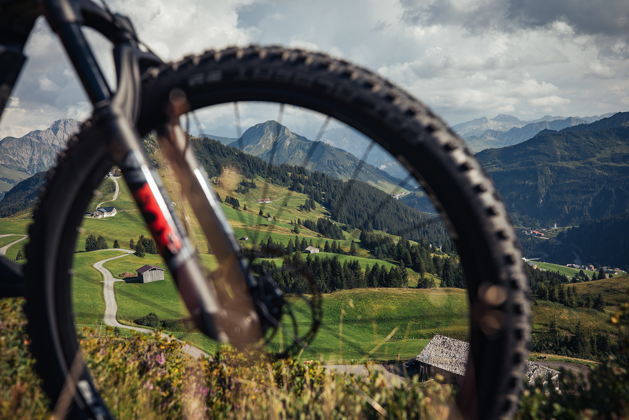 service_mtb_laufradgroessenberatung_voderrad_2021