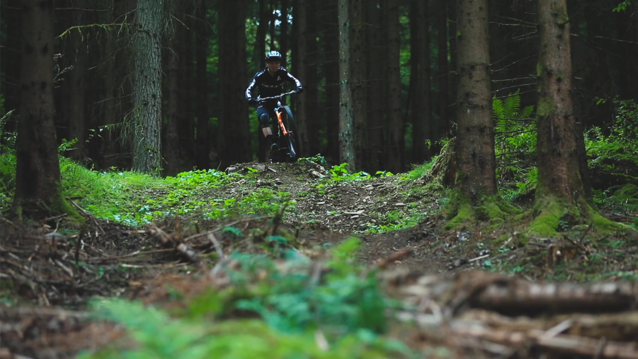 Bulls Bikes Onlineshop Offizielle Bulls Bikes Website