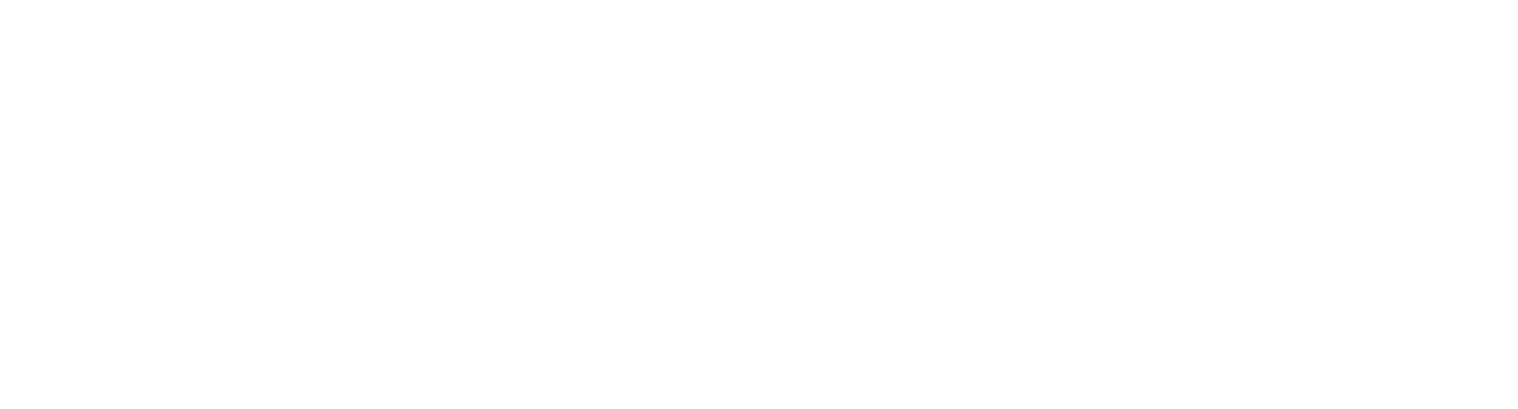 logo-shimano-steps_white2